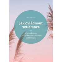 Jak ovládnout své emoce - E-kniha