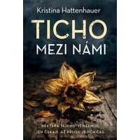 Ticho mezi námi - E-kniha