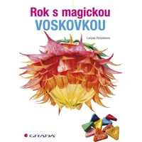 Rok s magickou voskovkou - E-kniha