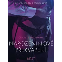 Narozeninové překvapení - Erotická povídka - E-kniha