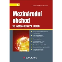 Mezinárodní obchod ve světové krizi 21. století - E-kniha