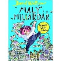 Malý miliardář - E-kniha