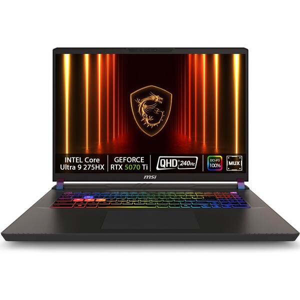 MSI Vector 17 HX AI 9S7-17S372-031 Šedá