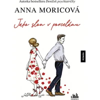 Jako slon v porcelánu - E-kniha