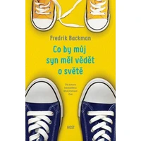 Co by můj syn měl vědět o světě - E-kniha