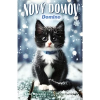 Nový domov – Domino - E-kniha