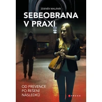 Sebeobrana v praxi - E-kniha