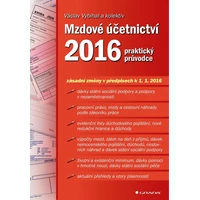 Mzdové účetnictví 2016 - E-kniha