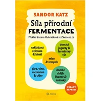 Síla přírodní fermentace – vázané vydání - E-kniha