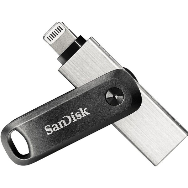 SanDisk SDIX60N-256G-GN6NE Černá/stříbrná