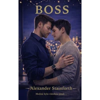 Boss - E-kniha