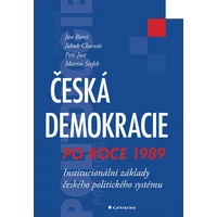 Česká demokracie po roce 1989 - E-kniha