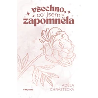 Všechno, co jsem zapomněla - E-kniha