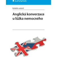 Anglická konverzace u lůžka nemocného - E-kniha