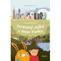 Stratený zajko v New Yorku - E-kniha