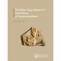 Wad Ben Naga Report V. - E-kniha