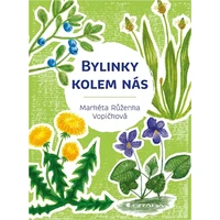 Bylinky kolem nás - E-kniha