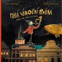 Malá vánoční povídka aneb Jak jsem se ztratil - E-kniha