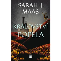 Království popela - E-kniha