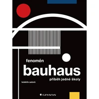 Fenomén Bauhaus - E-kniha