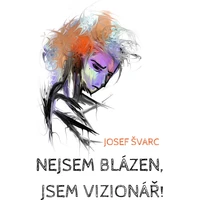 Nejsem blázen, jsem vizionář - E-kniha