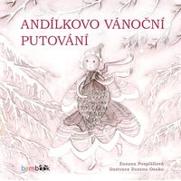Andílkovo vánoční putování - E-kniha