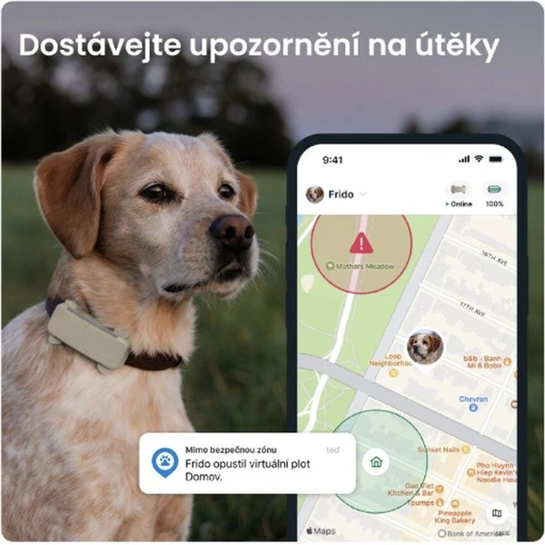Tractive GPS DOG 6 lokátor polohy a aktivity pro psy hnědý - GPS moduly - Obrázek 6CTD000L01