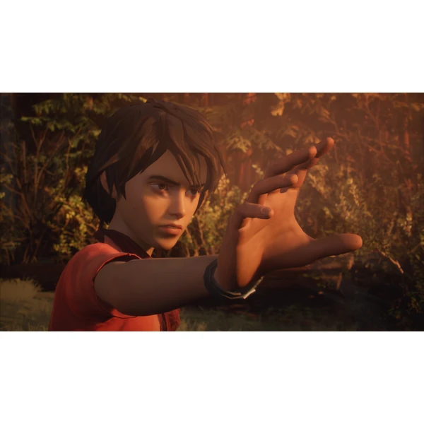 Life is Strange 2 (PS4) - Hry pro PS4 - Obrázek 6EA5100201