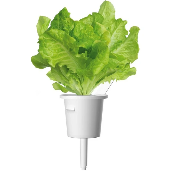 Click and Grow zelený salát kapsle se semínky a substrátem 3ks - Sazenice - Obrázek 6MYR000401