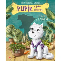 Pupík a jeho příhody: Setkání s tygrem - E-kniha