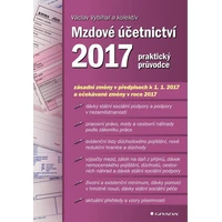 Mzdové účetnictví 2017 - E-kniha
