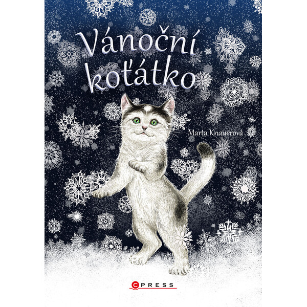 Vánoční koťátko