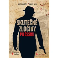 Skutečné zločiny po česku - E-kniha
