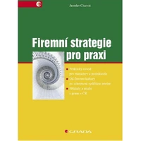 Firemní strategie pro praxi - E-kniha