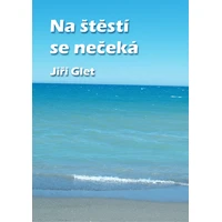 Na štěstí se nečeká - E-kniha