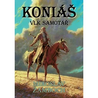 Vlk samotář - E-kniha
