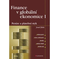 Finance v globální ekonomice I: Peníze a platební styk - E-kniha