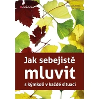 Jak sebejistě mluvit s kýmkoli v každé situaci - E-kniha