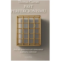 Past perfekcionismu - E-kniha