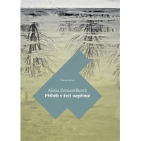 Příběh v řeči nepřímé - E-kniha