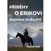 Příběhy o Erikovi - E-kniha