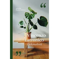 Dokonalosti - E-kniha