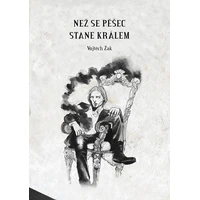 Než se pěšec stane králem - E-kniha