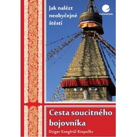 Cesta soucitného bojovníka - E-kniha