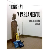 Tenkrát v parlamentu - E-kniha