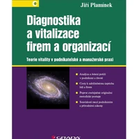 Diagnostika a vitalizace firem a organizací - E-kniha