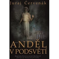 Anděl v podsvětí - E-kniha