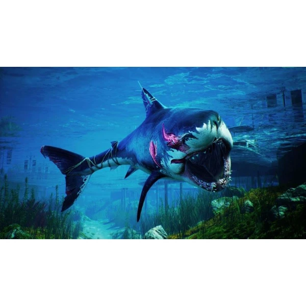 Maneater (Xbox One) - Hry pro Xbox One - Obrázek 71G3100201