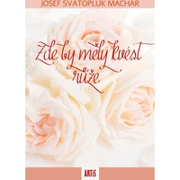 Zde by měly kvést růže - E-kniha