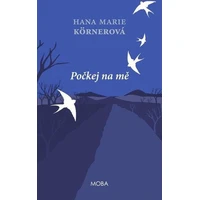 Počkej na mě - E-kniha